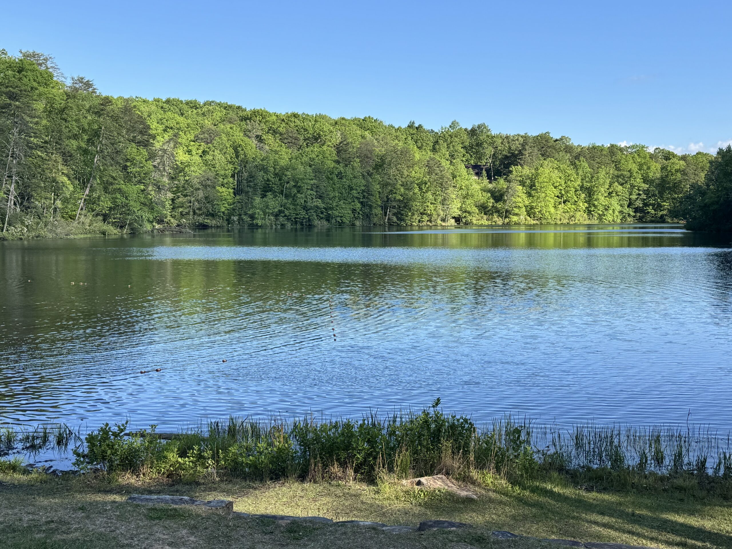 Be Still