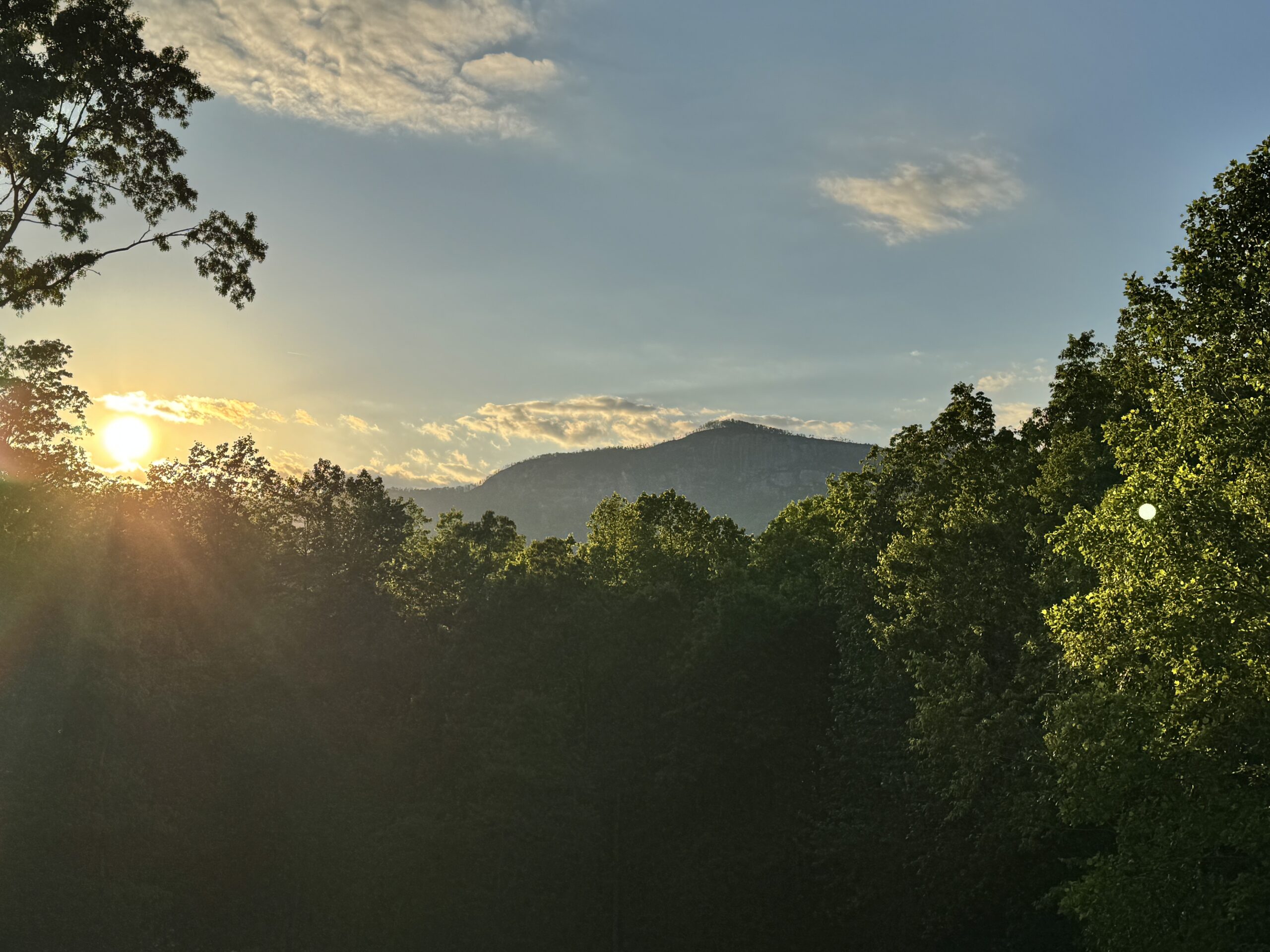 Glory in the Morning