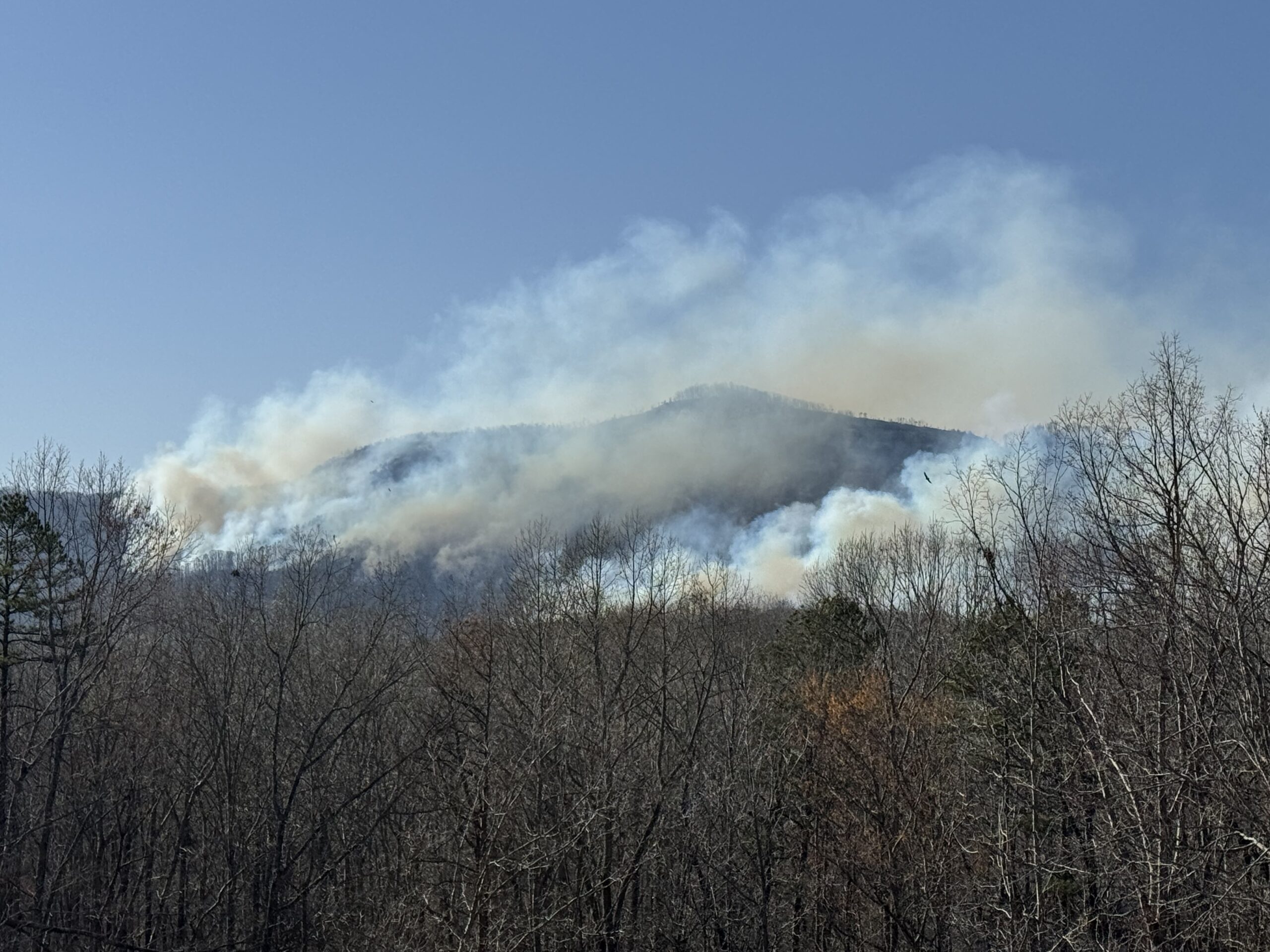 Through the Smoke