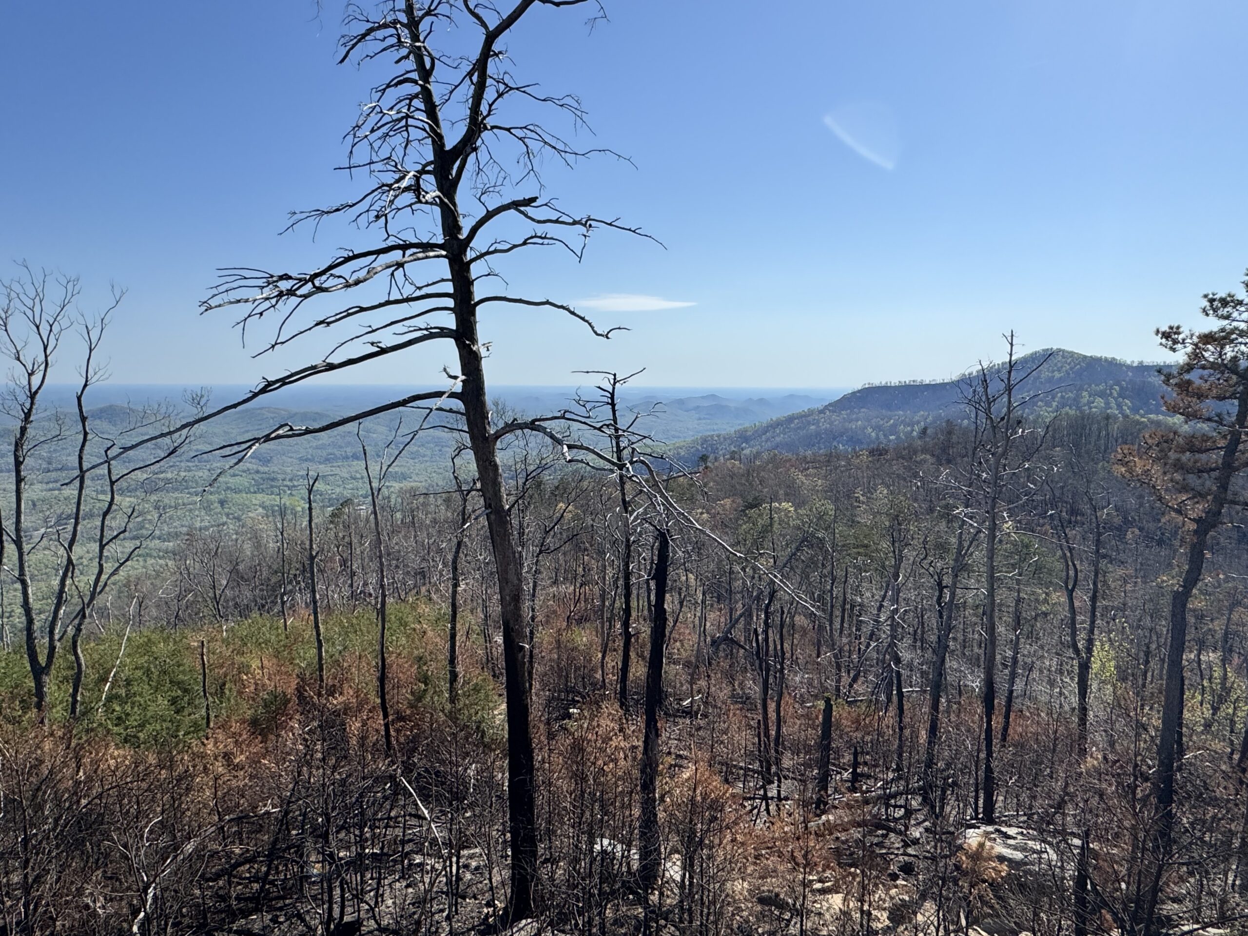 After the Fire